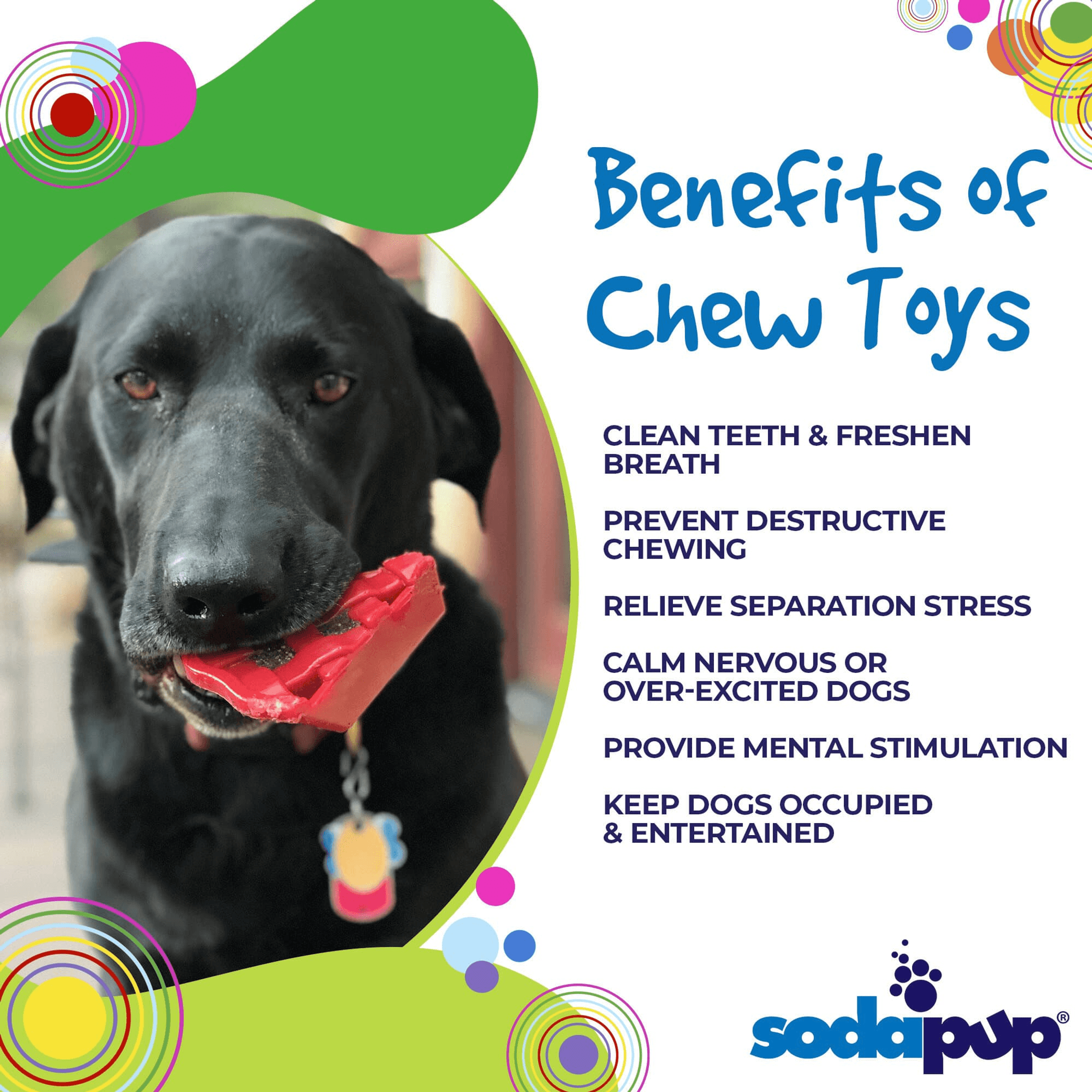 Ultra-Durable Cherry Pie Nylon Chew Toy