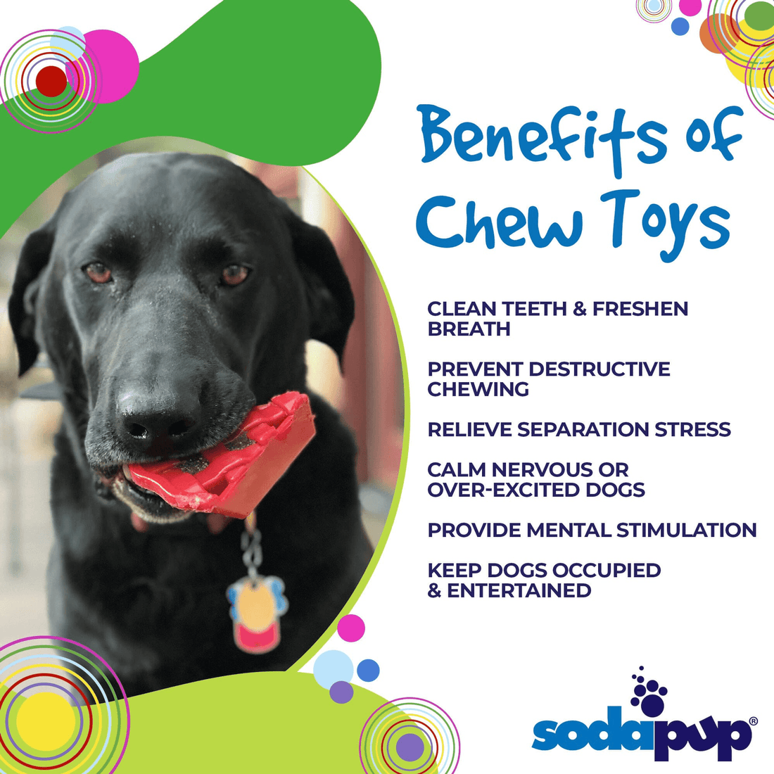 Ultra-Durable Cherry Pie Nylon Chew Toy