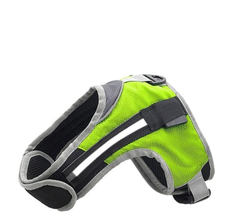 Durable Nylon Pet Dog Leash