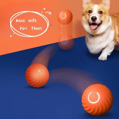 Smart Roll Pet Bite-Resistant Dog Toy For