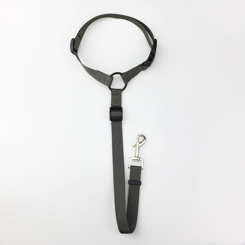 Secureflex Pet Safety Leash