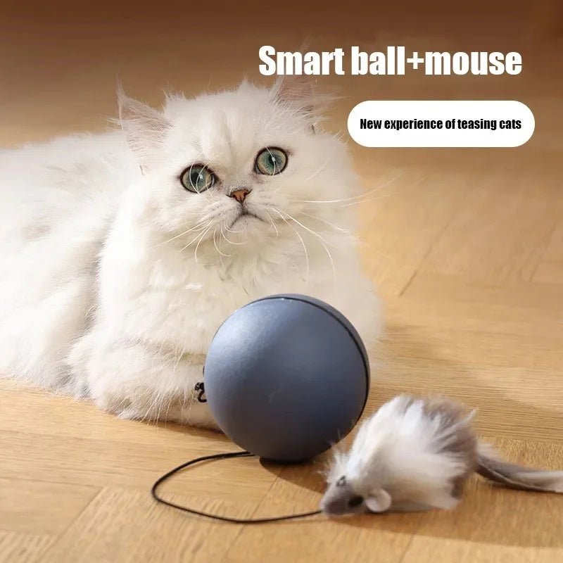 Mouse Teaser Ball Funny Moving Toy For Pets