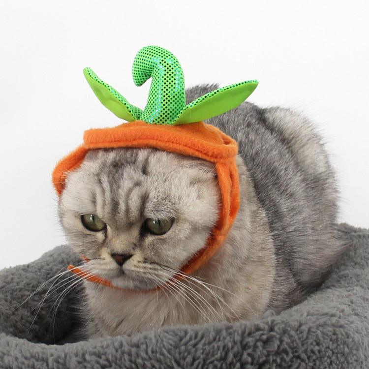 Pet Pumpkin Leaf Costume