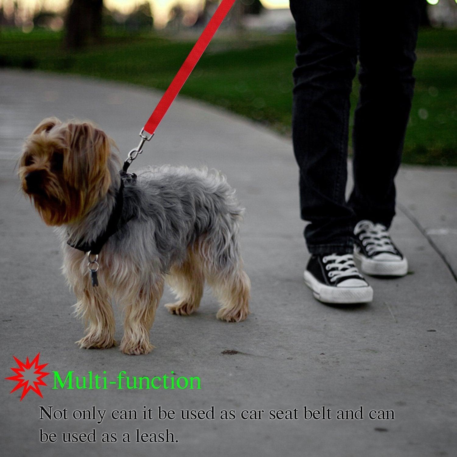 Secureflex Pet Safety Leash