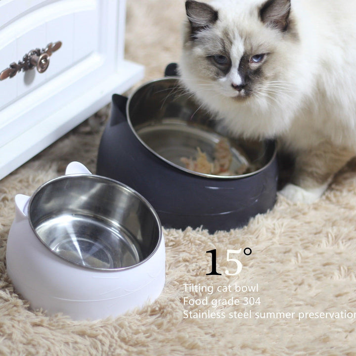 Elevated Slanted Pet Bowl