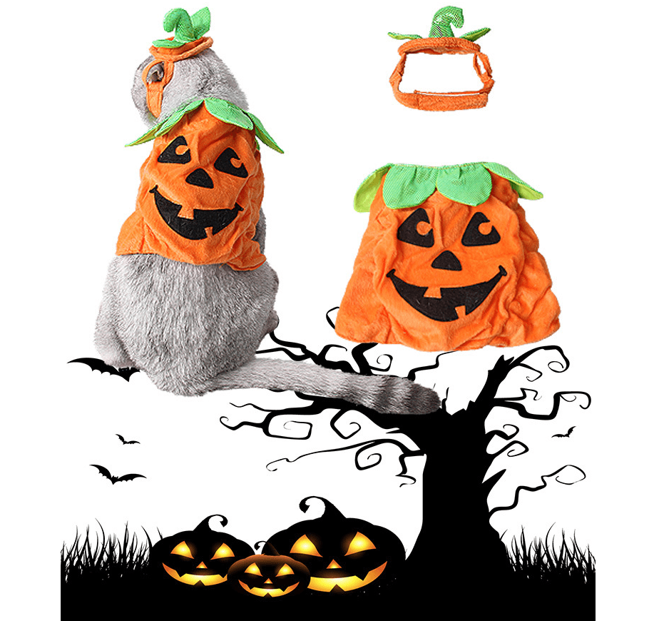 Pet Pumpkin Leaf Costume