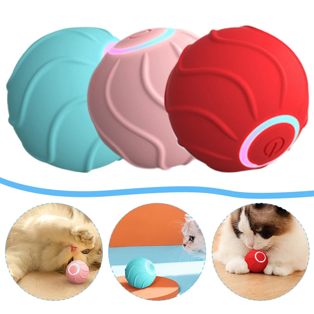 Pet Cat Owner Interactive Pets Toys