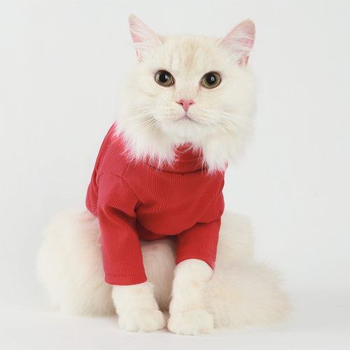 Label Turtleneck Red Pet Cat Clothing