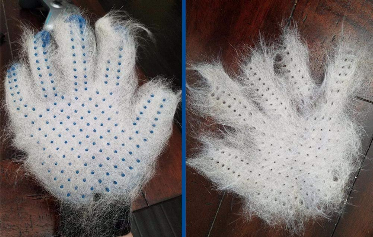 Pet Grooming Gloves