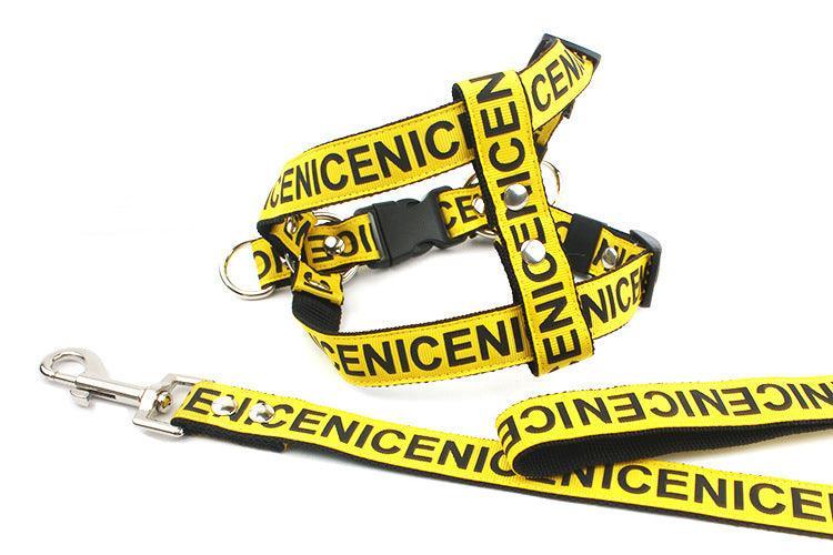 Adventure Paws Nylon Pet Leash