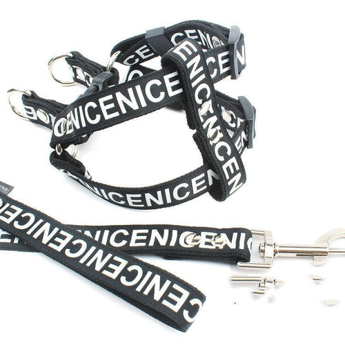 Adventure Paws Nylon Pet Leash