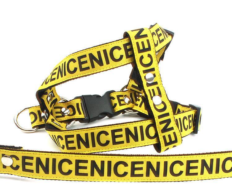 Adventure Paws Nylon Pet Leash