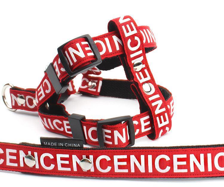 Adventure Paws Nylon Pet Leash