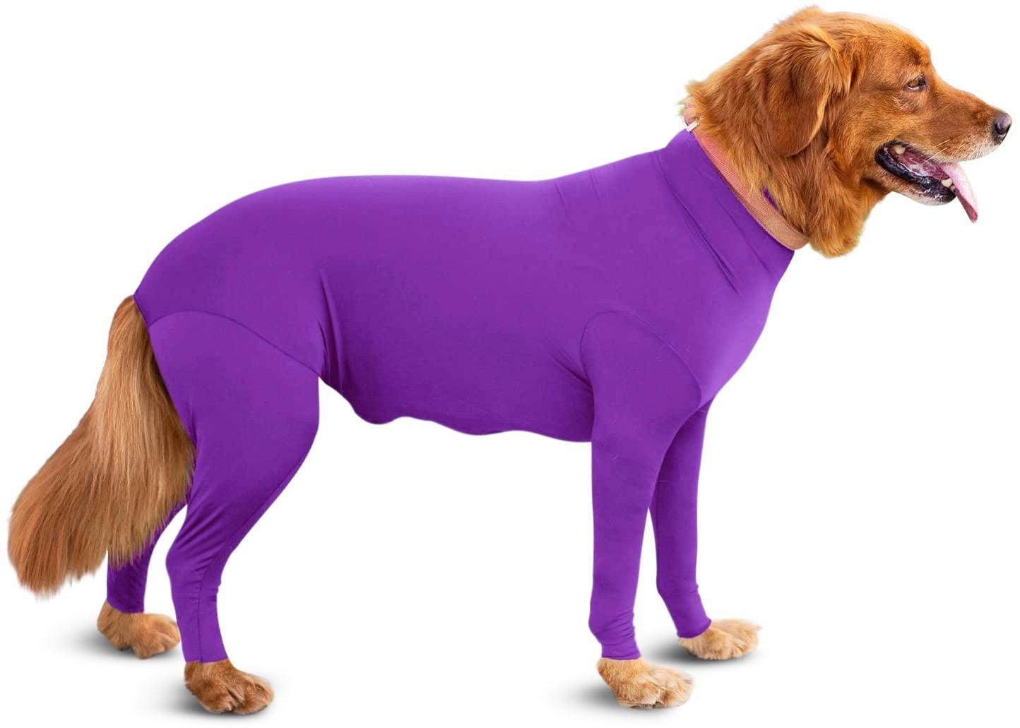 Alluring Four-Legged Elastic Pet Clothing