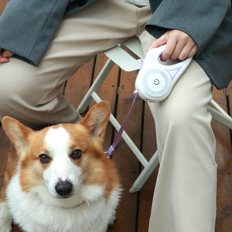 Automatic Pet Dog Leash And Collar