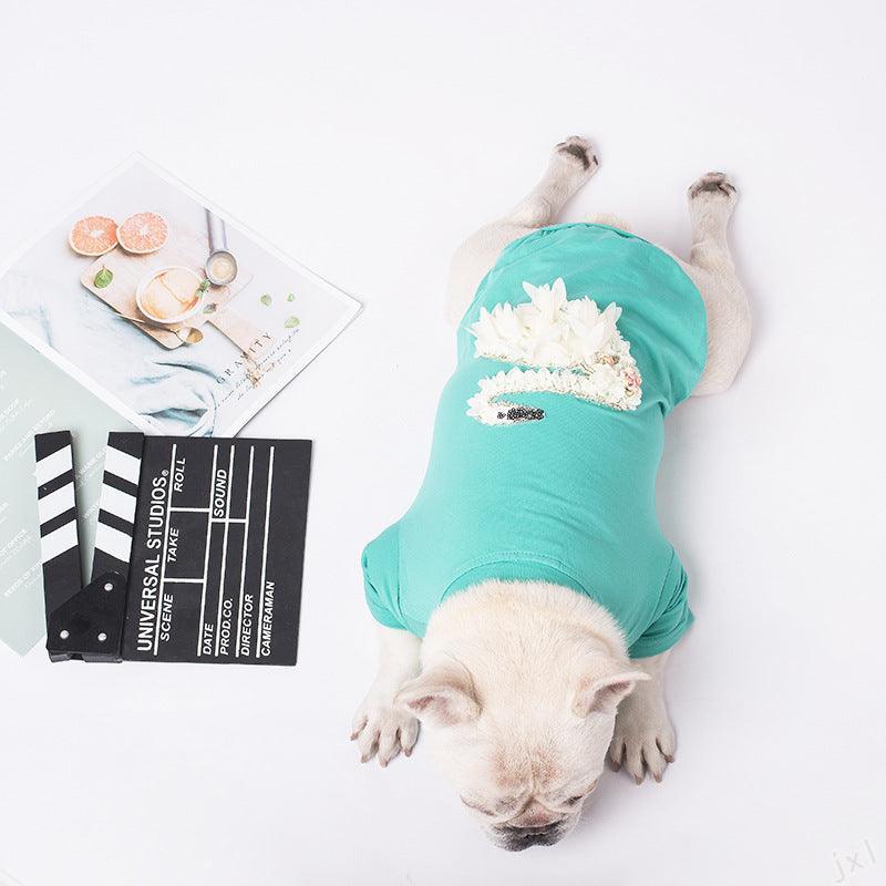 Warm And Stylish Pet Clothes