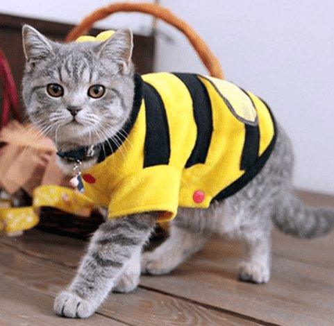 Buzzing Bee Pet Apparel