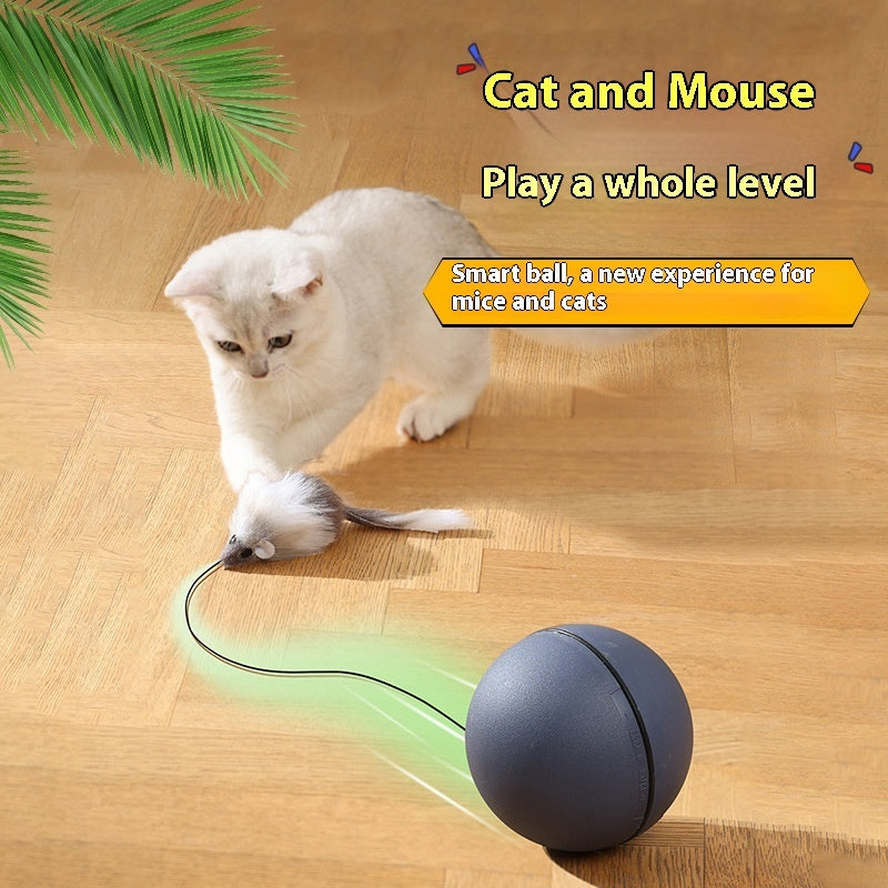 Mouse Teaser Ball Funny Moving Toy For Pets