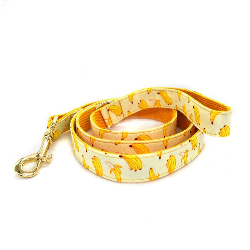 Fruitful Adventures Dog Leash Pet Collar