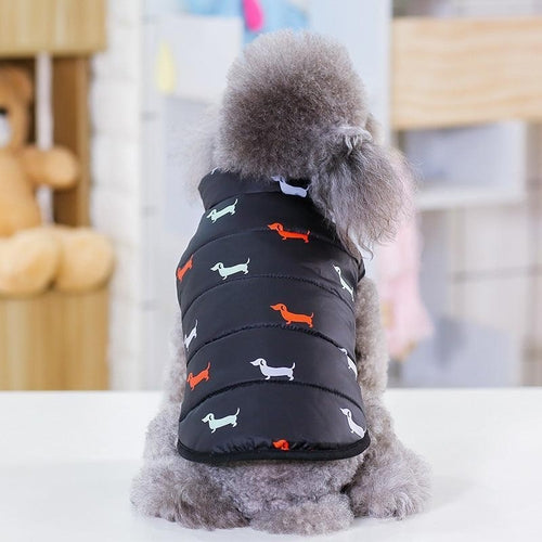 Stylish And Comfortable Pet Clothing