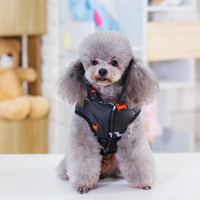Stylish And Comfortable Pet Clothing