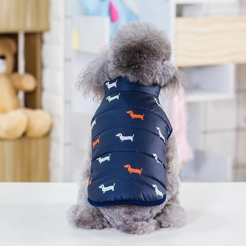 Stylish And Comfortable Pet Clothing