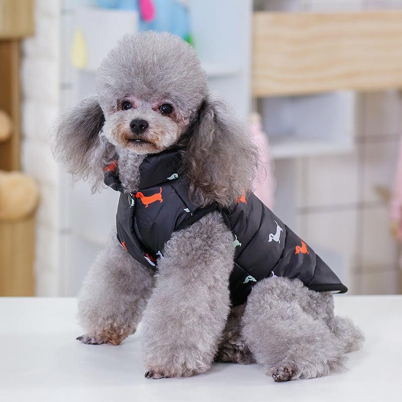 Stylish And Comfortable Pet Clothing