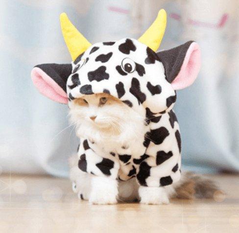 Cozy Cow Pet Costume Sweater