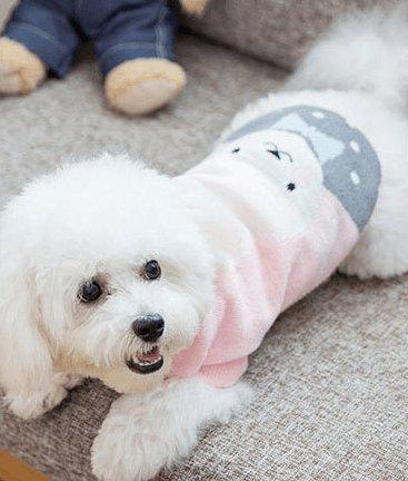Cozy Woolen Pet Sweater