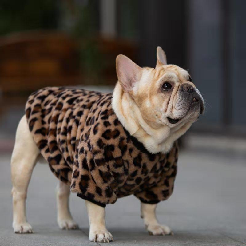 Warm And Stylish Pet Apparel