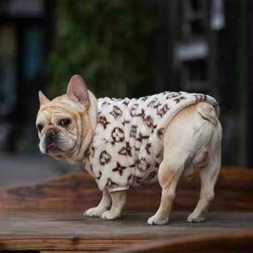 Warm And Stylish Pet Apparel