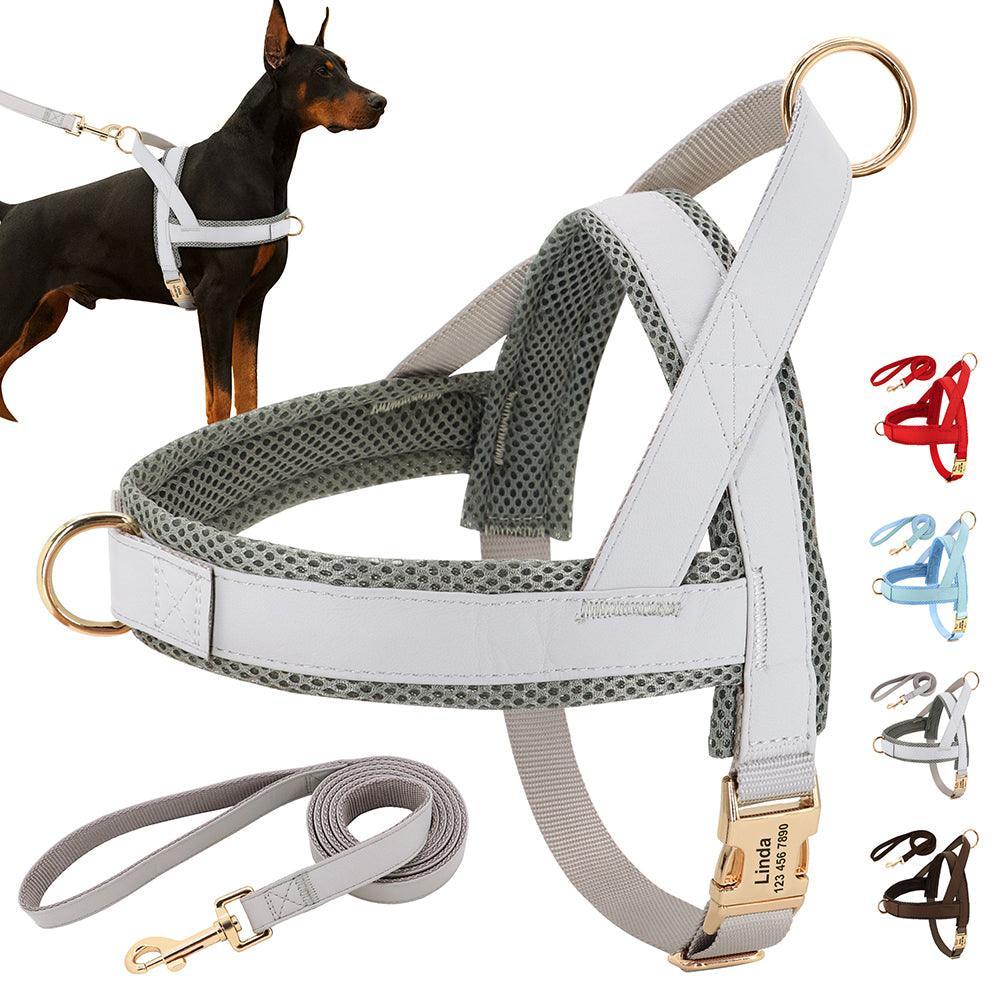 Customizable Pet Harness And Leash Set