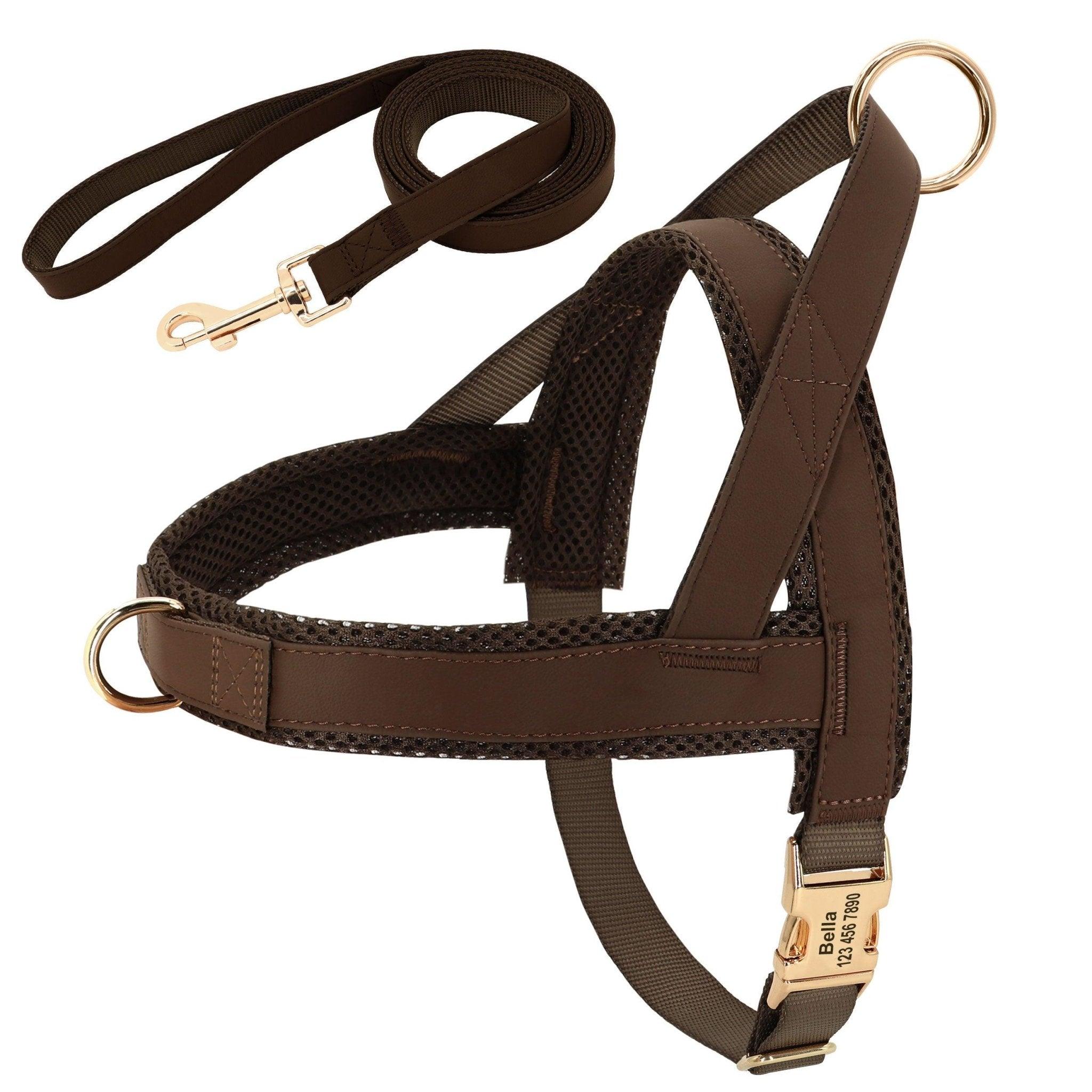 Customizable Pet Harness And Leash Set