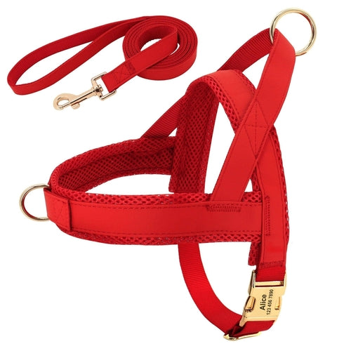 Customizable Pet Harness And Leash Set
