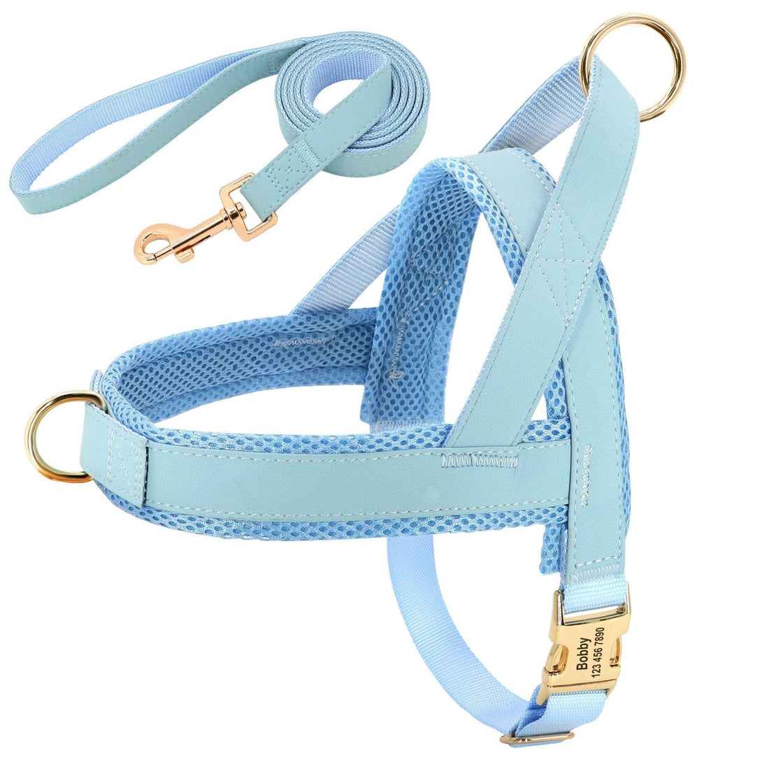 Customizable Pet Harness And Leash Set