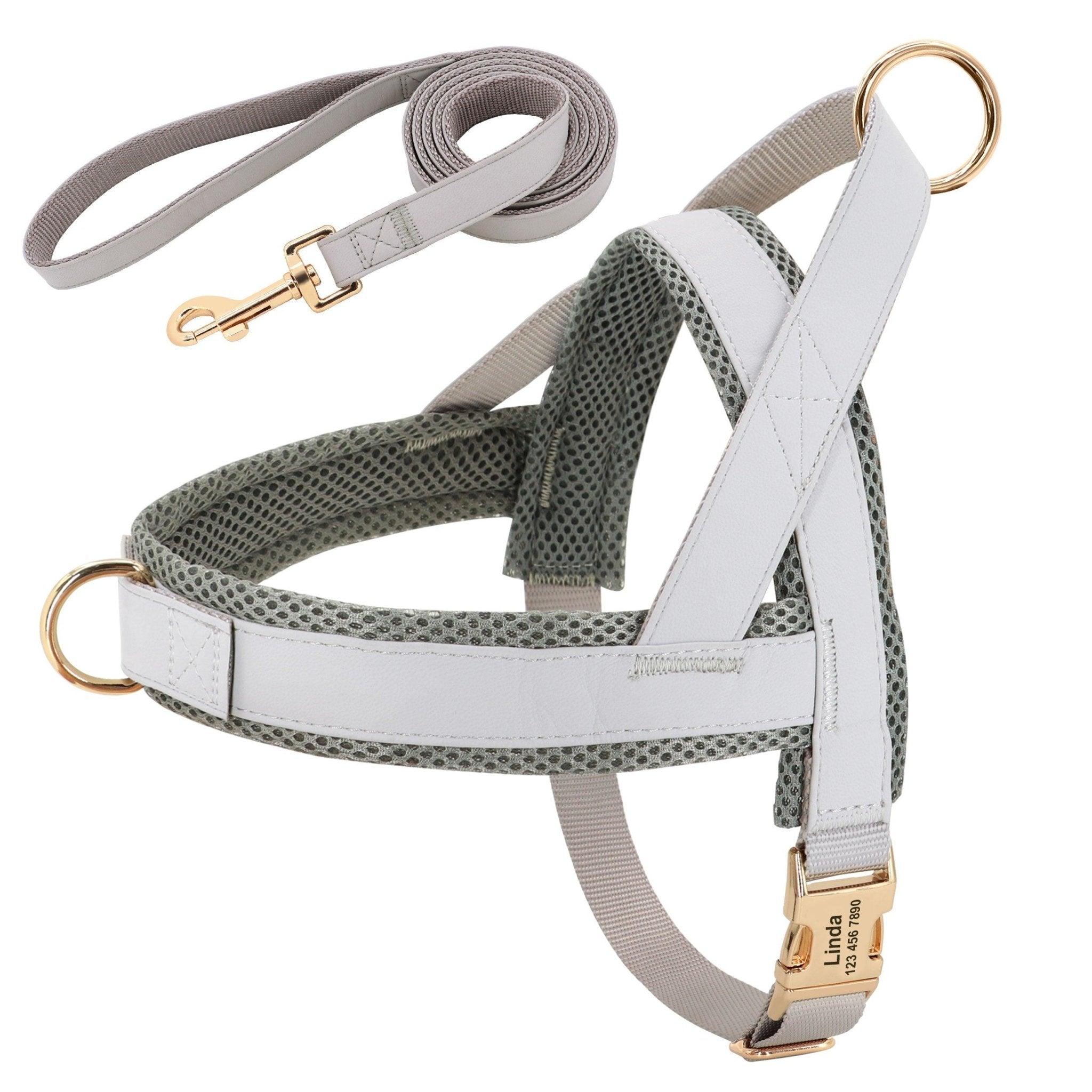 Customizable Pet Harness And Leash Set