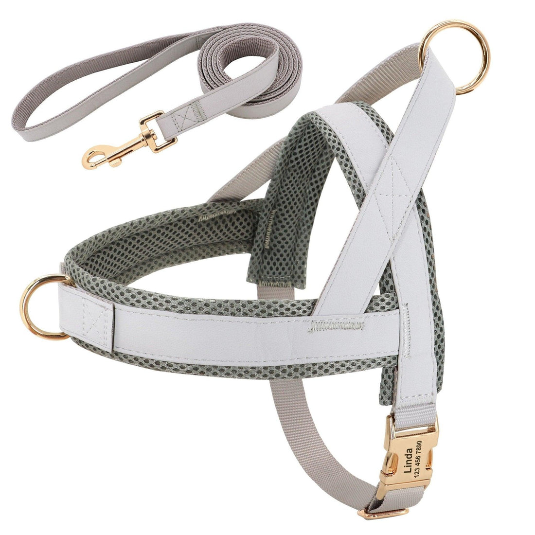Customizable Pet Harness And Leash Set
