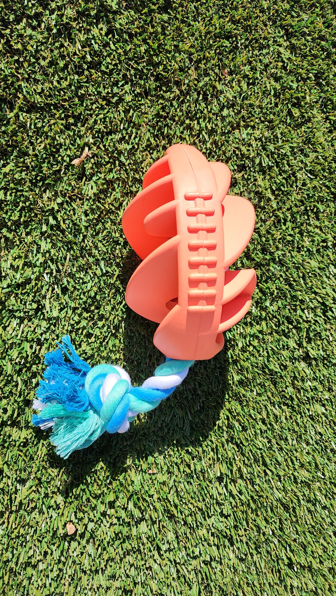 Rubber Football Dog Chew Toy