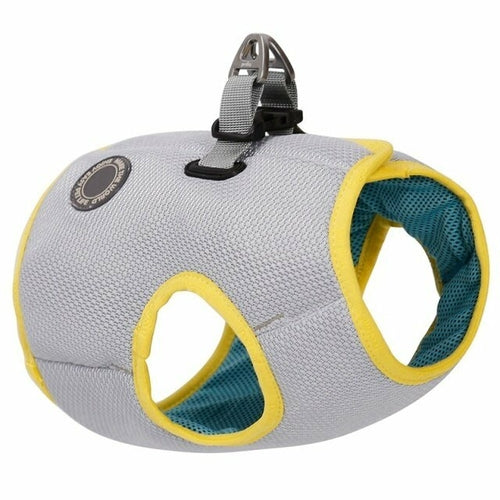 Dog Harness and Leash Puppy