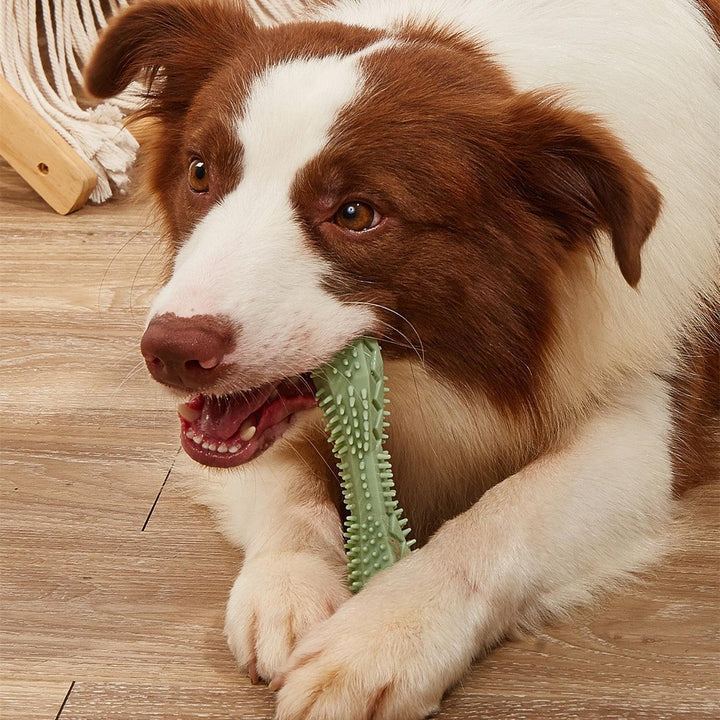 Doggydental Chew & Play Toy