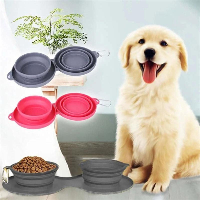 Double Collapsible Pet Feeding Bowl Set
