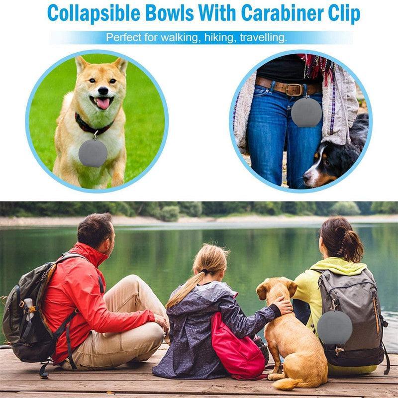 Double Collapsible Pet Feeding Bowl Set