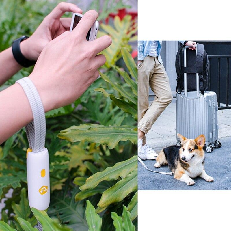 Pet Dogs Leash