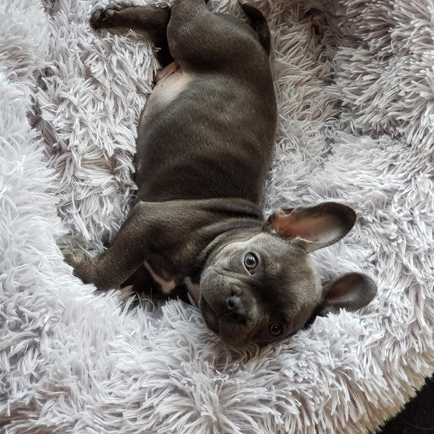 Soft Pet Dog Round Winter Bed