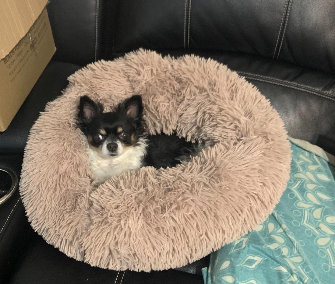 Soft Pet Dog Round Winter Bed