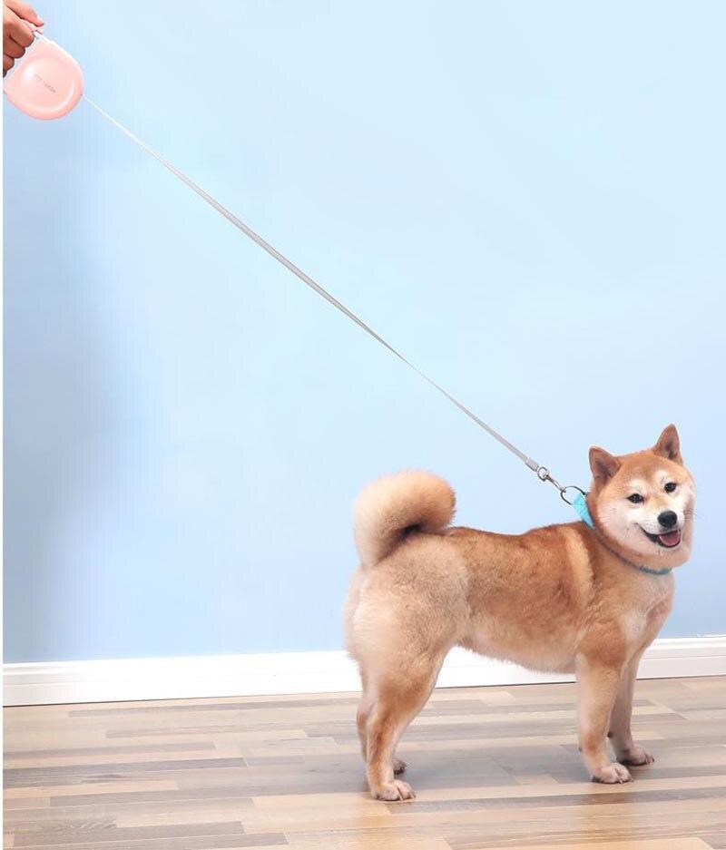 Pet Automatic Retractable Walking Leash