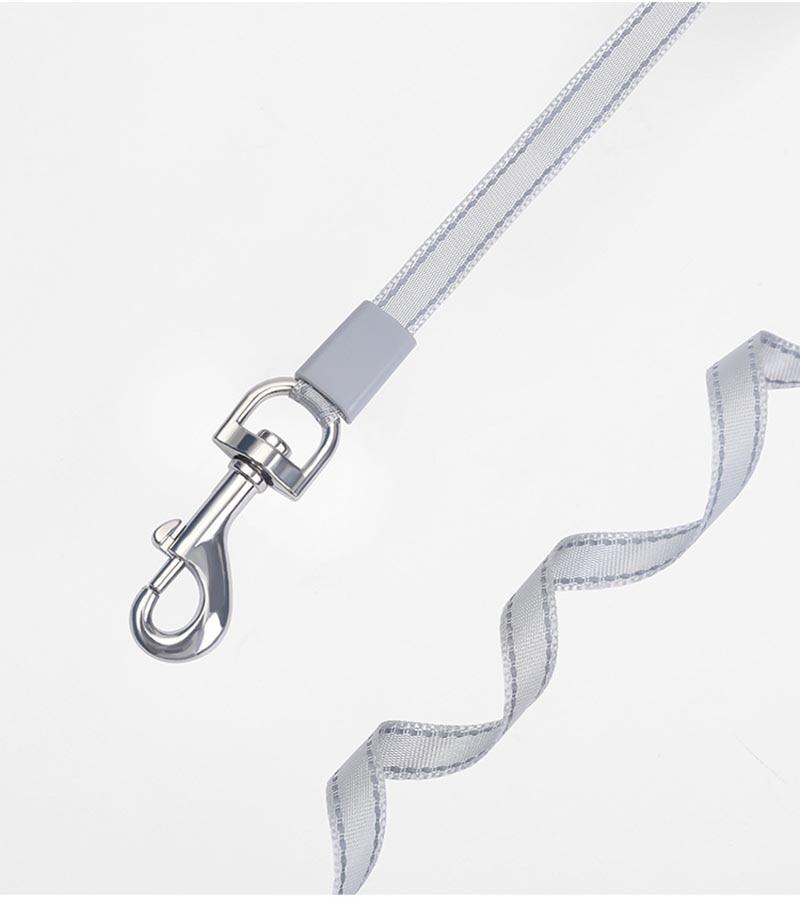 Pet Automatic Retractable Walking Leash