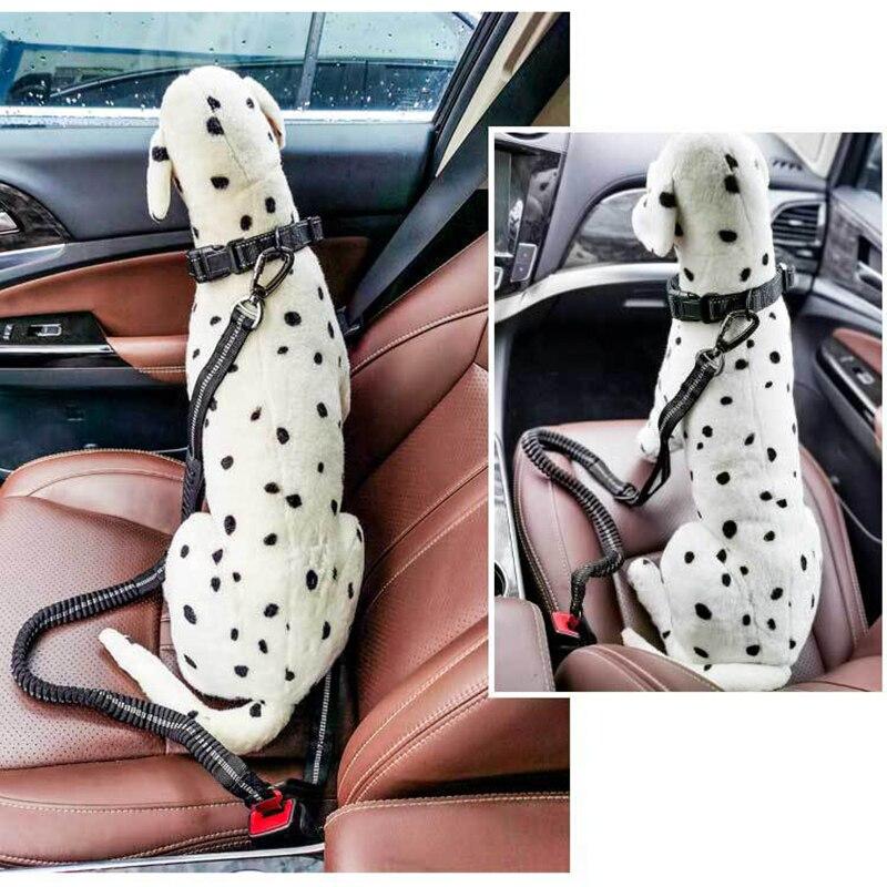 Adjustable Dog Nylon Reflective Leash