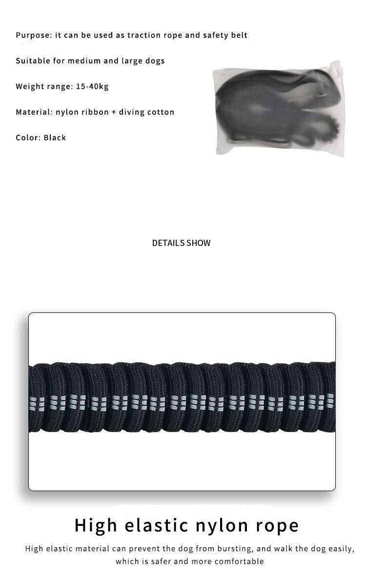 Adjustable Dog Nylon Reflective Leash