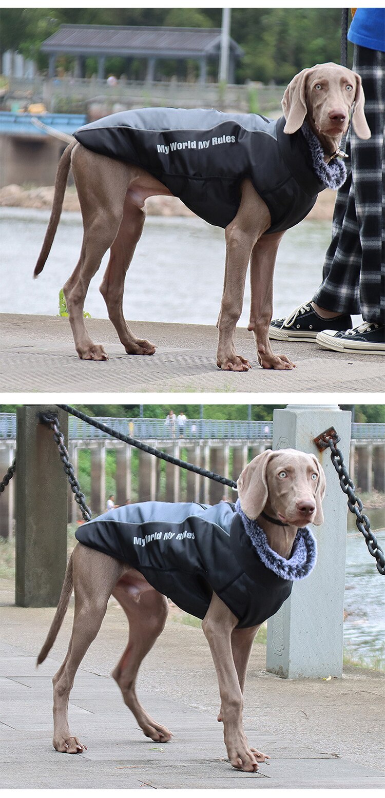 Thick Dog Coat Clothes